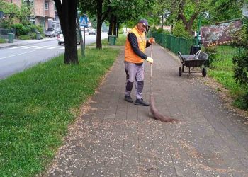 SERVISNE INFORMACIJE ZA ČETVRTAK