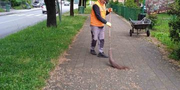 SERVISNE INFORMACIJE ZA ČETVRTAK