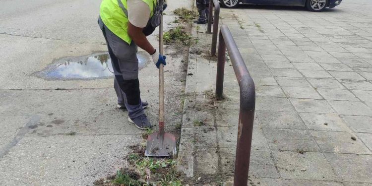 SERVISNE INFORMACIJE ZA PONEDJELJAK