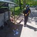 SERVISNE INFORMACIJE ZA PONEDJELJAK, 11.05.2026. g